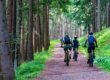 Groep mensen tijdens een fietsuitje dichtbij huis op een bosrijk pad omringd door hoge dennenbomen