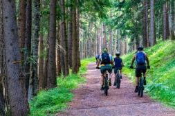 Groep mensen tijdens een fietsuitje dichtbij huis op een bosrijk pad omringd door hoge dennenbomen