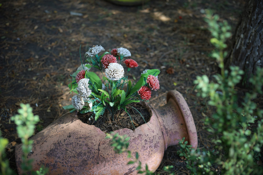 bloemen voor in een gezonde tuin