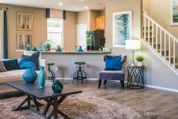 Rustige woonkamer met blauwaccenten die overzicht en balans in jouw omgeving uitstralen.