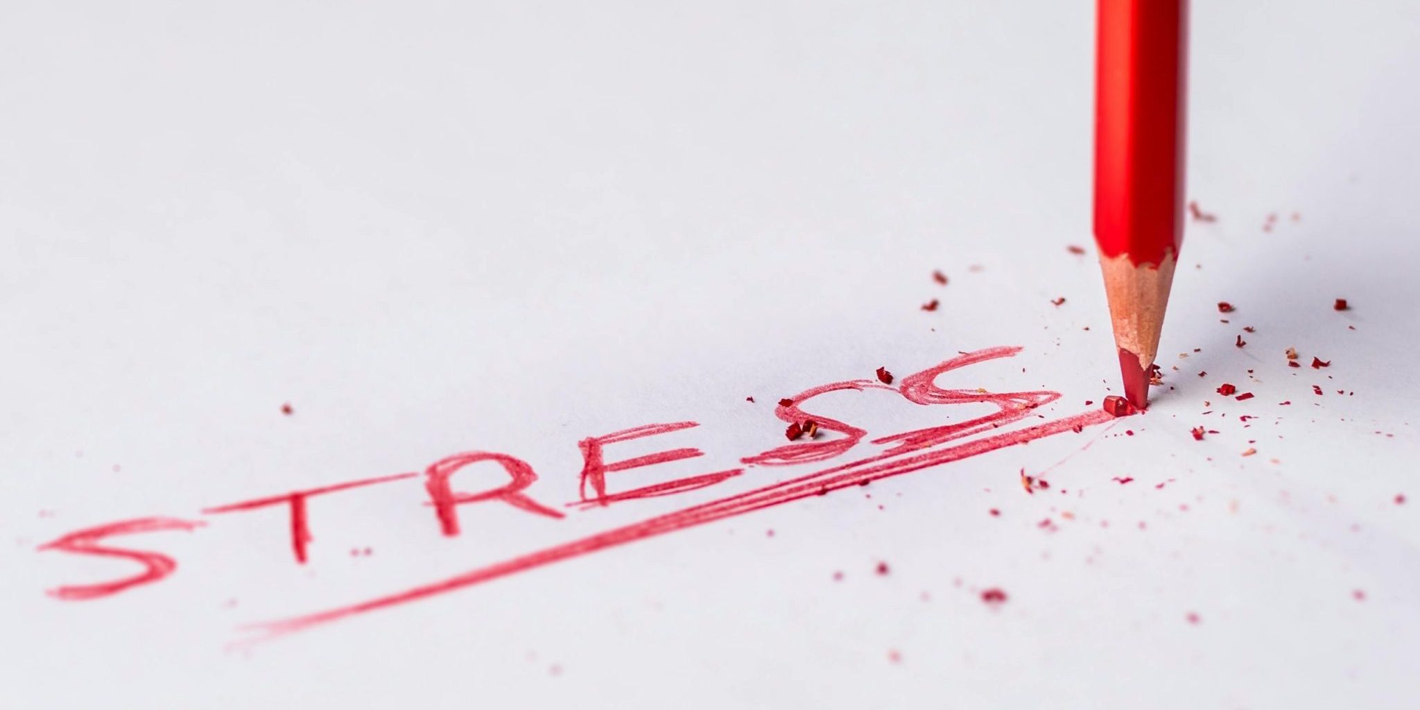Wat stress doet met histamine in het lichaam