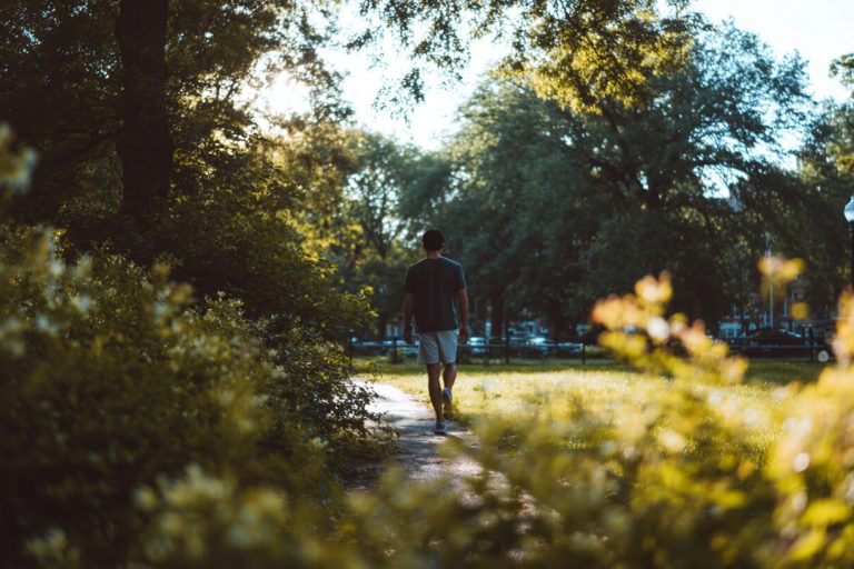 Wandelen in park met bomen ondersteunt groene omgevingen stress en mentale ontspanning