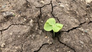 zelfvertrouwen en weerbaarheid