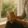 Hand met warm kopje bij raam, persoonlijke coaching moment
